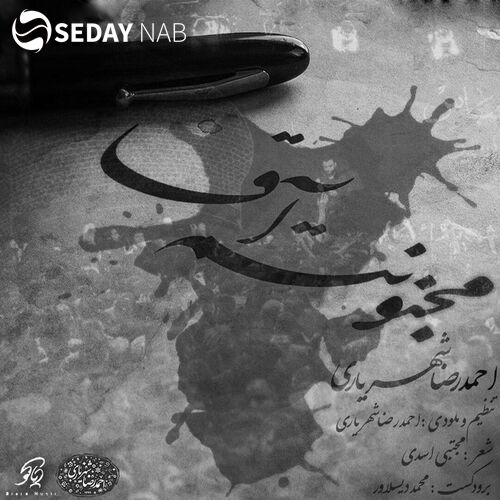 دانلود آهنگ جدید احمد سلو به نام مجنونتم آقا